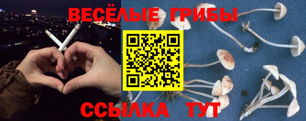 Галлюциногенные грибы прущие грибы Ярославль