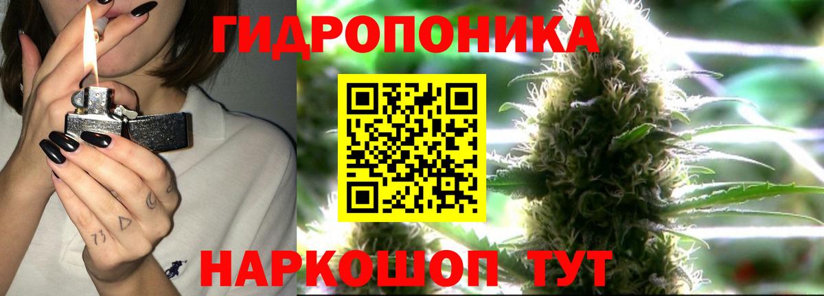 Каннабис гибрид Ярославль